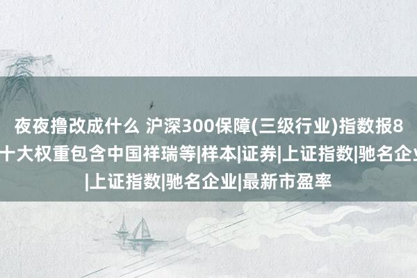 夜夜撸改成什么 沪深300保障(三级行业)指数报866.37