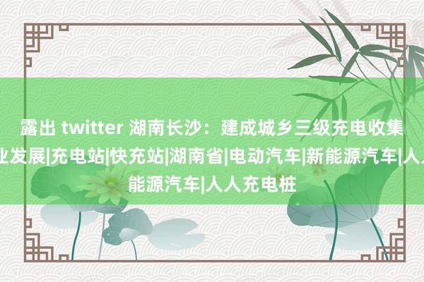 露出 twitter 湖南长沙：建成城乡三级充电收集 赋能产