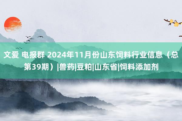 文爱 电报群 2024年11月份山东饲料行业信息（总第39期